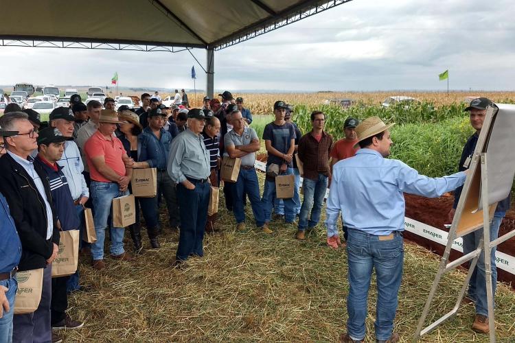 produtores adotam tecnologia de monitoramento da qualidade do manejo dos solos e o uso de plantas de adubação verde