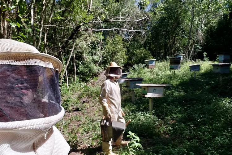 Estado é o segundo maior produtor do País, atrás apenas do Rio Grande do Sul.