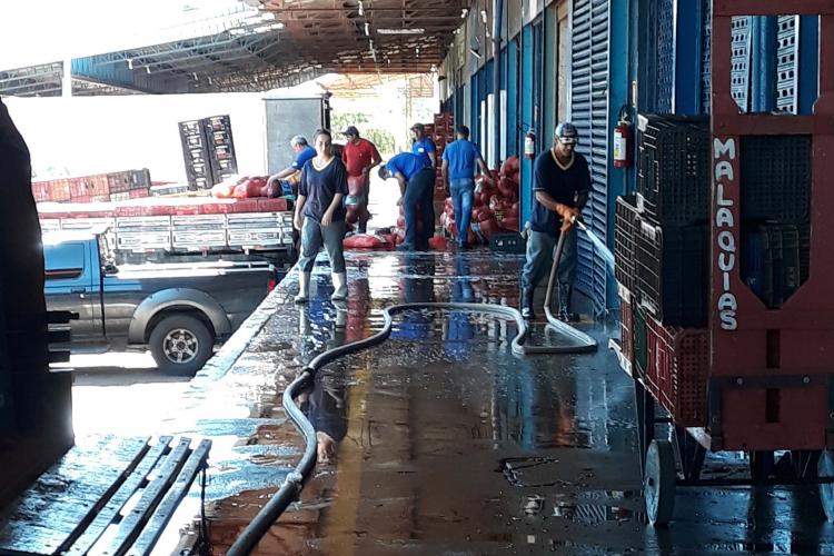 Ceasas intensificam os trabalhos de higienização