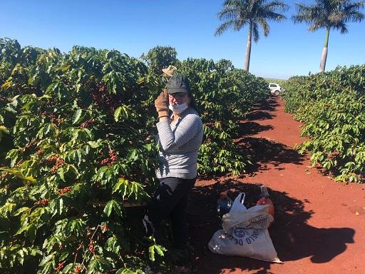 Mulheres unem-se para produzir café de qualidade