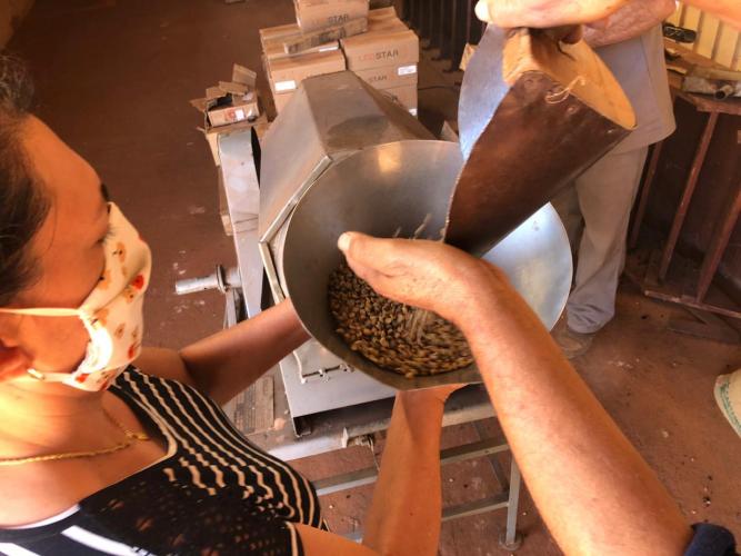 Mulheres unem-se para produzir café de qualidade