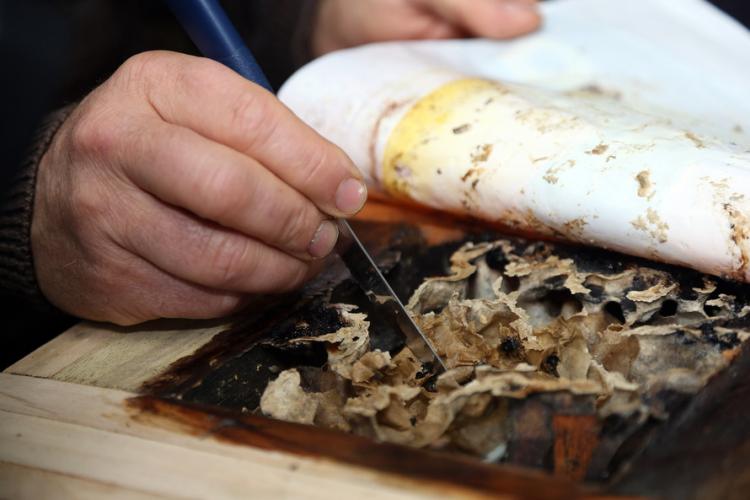 Paraná lidera exportações de mel em 2020