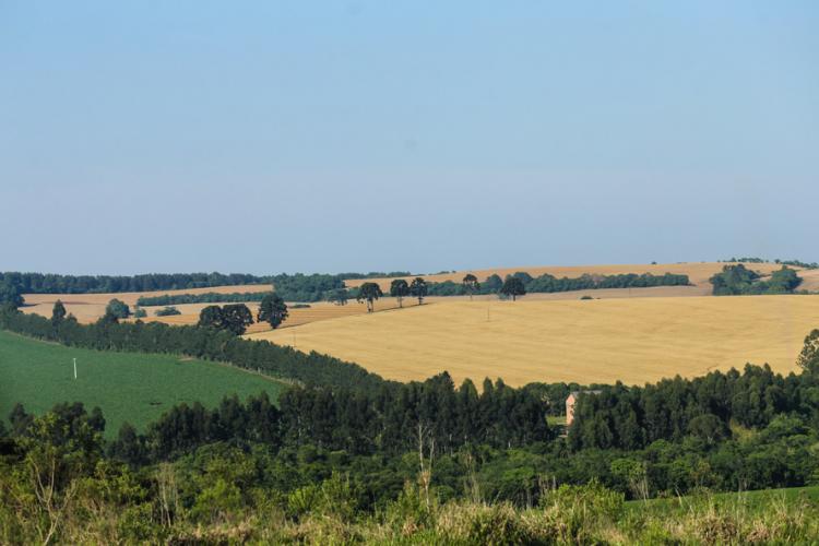 Preço de terras cresceu 12%