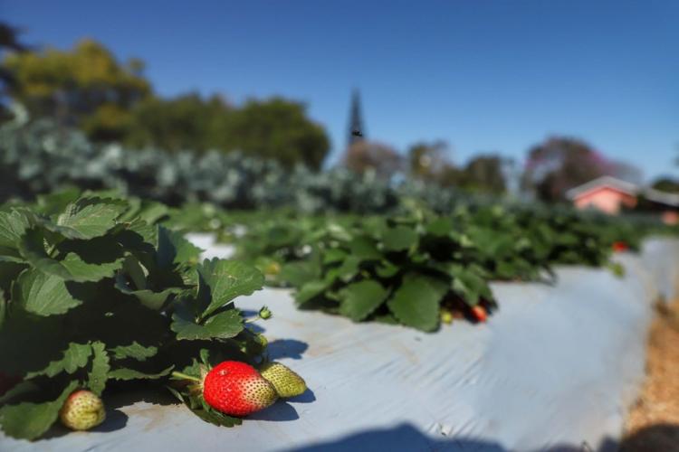 Consórcio Cid Centro