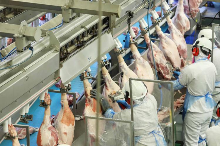 Paraná ampliou a produção de carnes em 2020