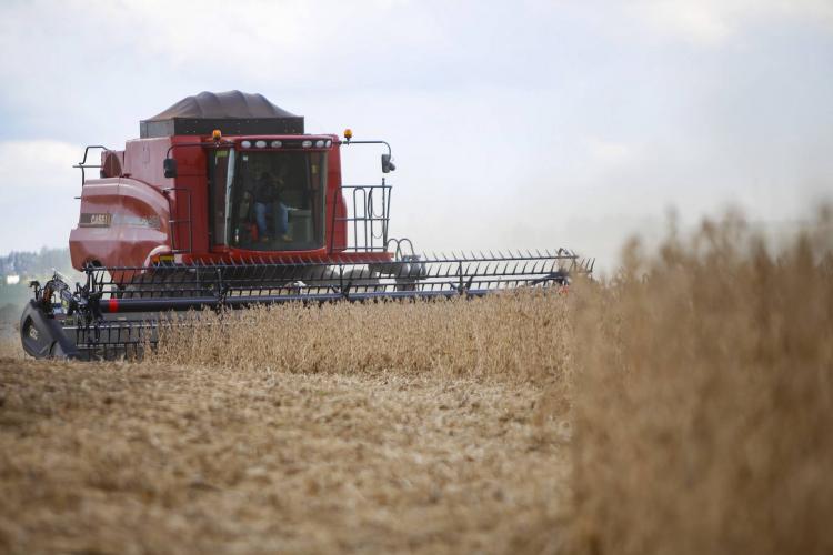 Paraná deve produzir 40,6 milhões de toneladas de grãos na safra 2020/2021