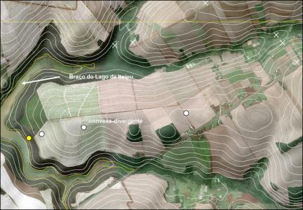 Pedossequência amostral