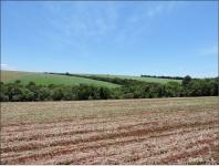 Figura 3a - Paisagem típica da Província Convexada