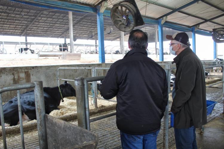 Entrega do prêmio de Maior Produção Vitalícia 2021 aos pecuaristas Ronald e Henrieta Rabbers, de Castro, pela vaca Rhoelandt 372 Leda Doc Stormatic