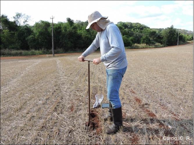 Figura 2 – Amostragem de solos em lavoura com resteva da cultura de trigo.
