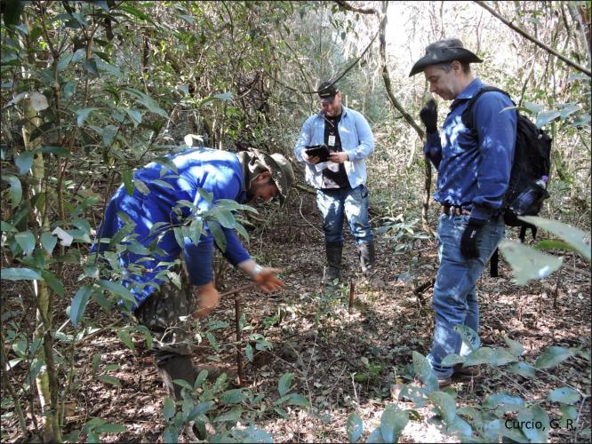 Figura 5 – Coleta de solos em planície.