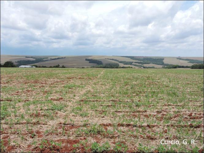 Figura 3 – Aspecto da Província Convexada, Subplanalto Foz do Iguaçu.
