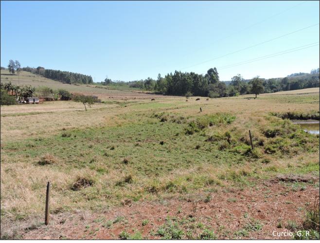 Figura 1 - Planície fluvial.