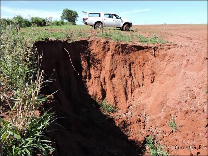 Figura 3 – Voçoroca remontando em área de nascente.