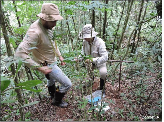 Figura 5 - Identificação de tipos de solos na margem fluvial.