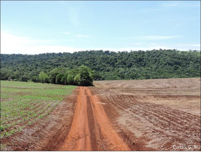 Figura 10 - Adequação de estradas rurais.