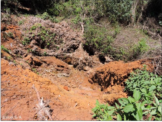 Figura 3 - Assoreamento de nascente.