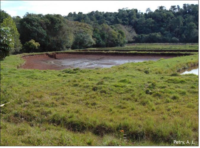 Figura 3 - Tanques de peixe.