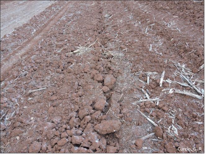 Figura 7 - Linha de subsolagem em Latossolo Vermelho 9.