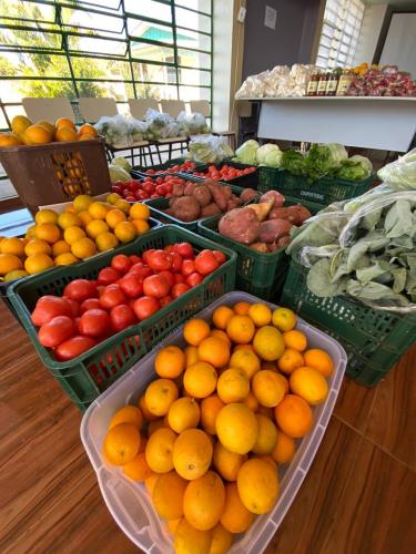 Atividades marcam o Dia da Alimentação no Paraná