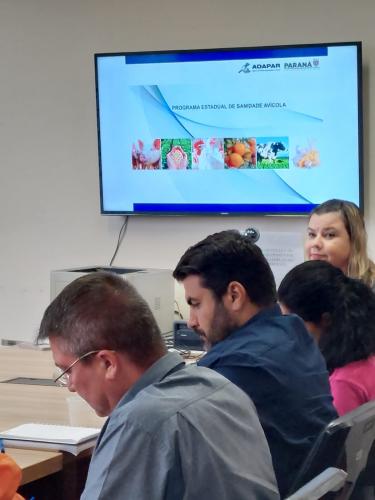 Reunião do Grupo Especial de Atenção às Suspeitas de Enfermidades Emergências (Gease)