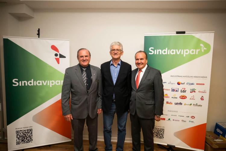 Nova direção Sindiavipar