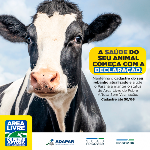 campanha