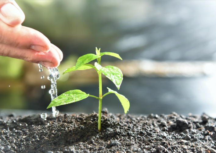 Adapar registra recorde no cadastro de produtos biológicos e similares