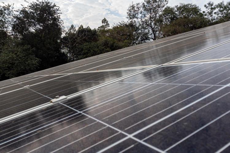 RenovaPR: com energia solar, família de piscicultores reduz custo e aumenta produção