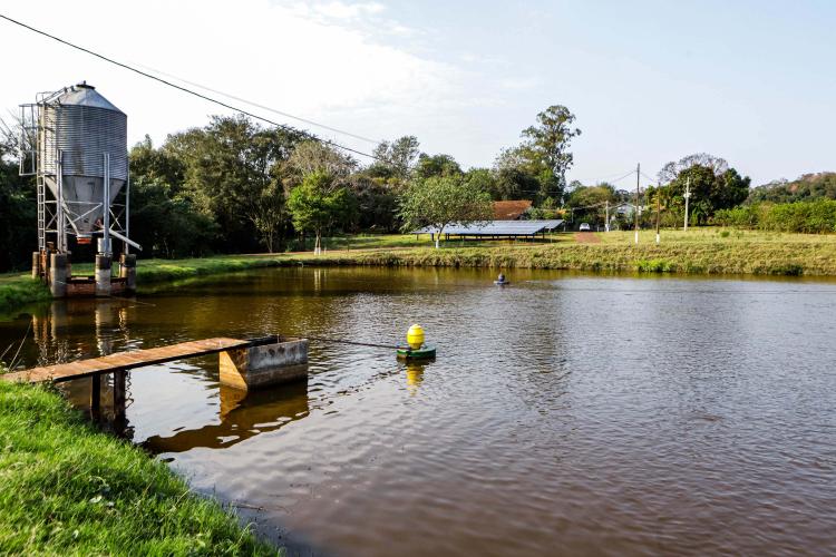 RenovaPR: com energia solar, família de piscicultores reduz custo e aumenta produção