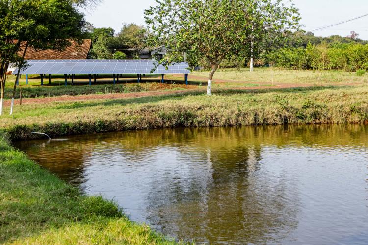RenovaPR: com energia solar, família de piscicultores reduz custo e aumenta produção
