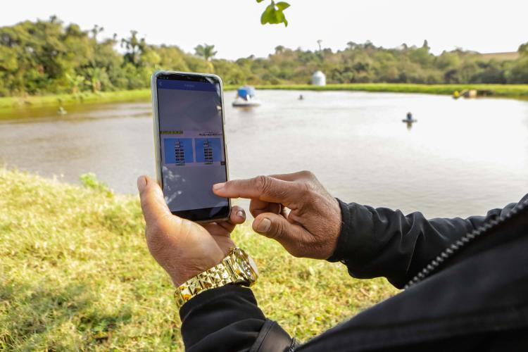 RenovaPR: com energia solar, família de piscicultores reduz custo e aumenta produção