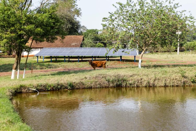 RenovaPR: com energia solar, família de piscicultores reduz custo e aumenta produção