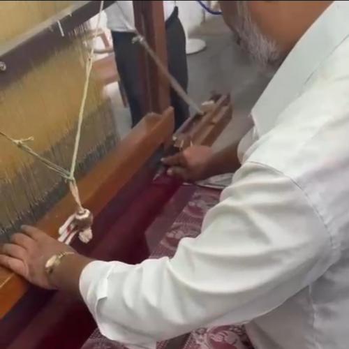 Paraná firma parceria com associação indiana para desenvolvimento da sericultura