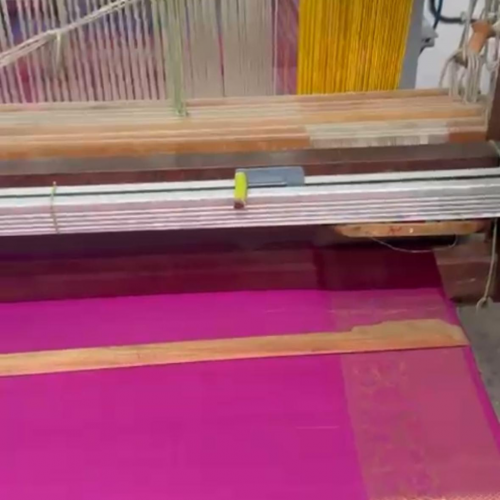 Paraná firma parceria com associação indiana para desenvolvimento da sericultura