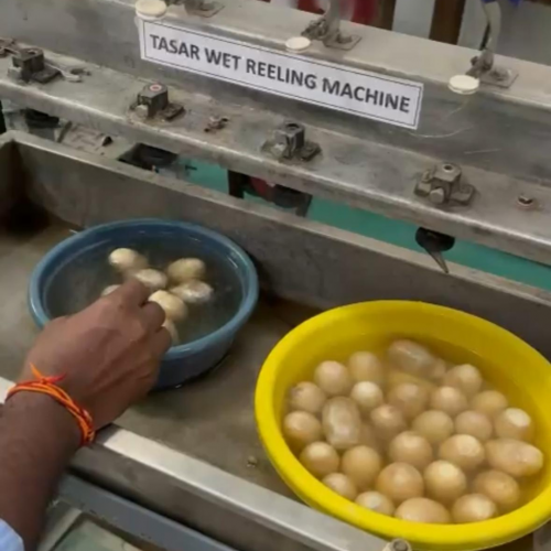 Paraná firma parceria com associação indiana para desenvolvimento da sericultura