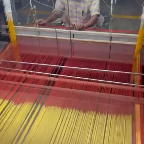 Paraná firma parceria com associação indiana para desenvolvimento da sericultura