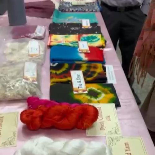 Paraná firma parceria com associação indiana para desenvolvimento da sericultura