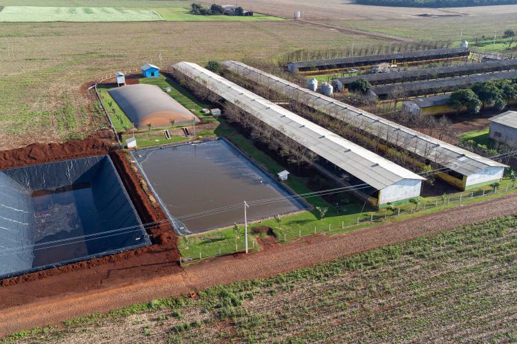 Biogás diminui custos de produção e gera renda para suinocultores de Pato Bragado