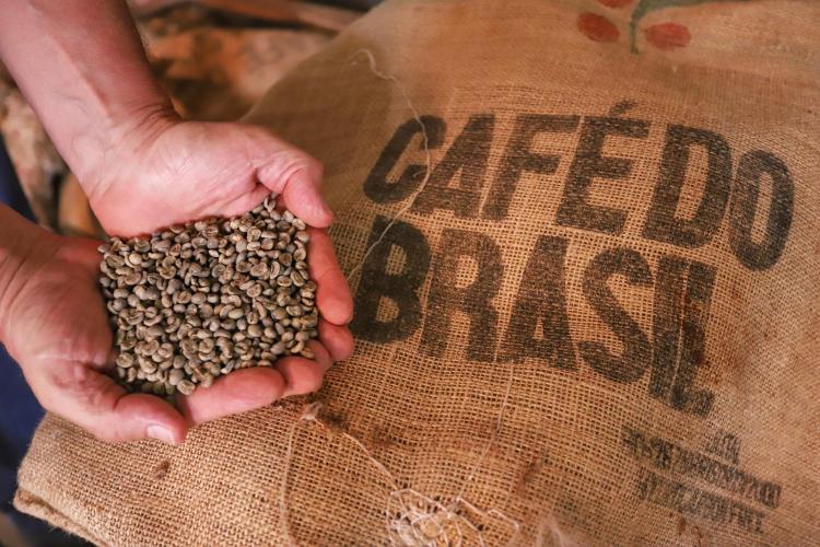 Mesmo com menor produção, café garante mais rendimento ao produtor paranaense