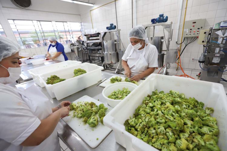 Governo federal pode reproduzir projeto de combate à fome do Paraná em todo o Brasil