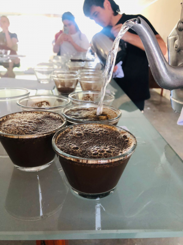 Mulheres do Café: 2º Cupping e Leilão impulsionam cafés especiais no Norte do Paraná