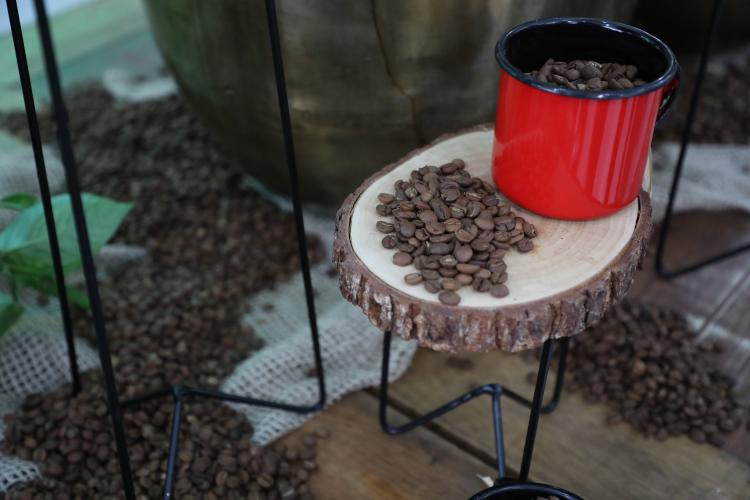 Café Qualidade Paraná 2024