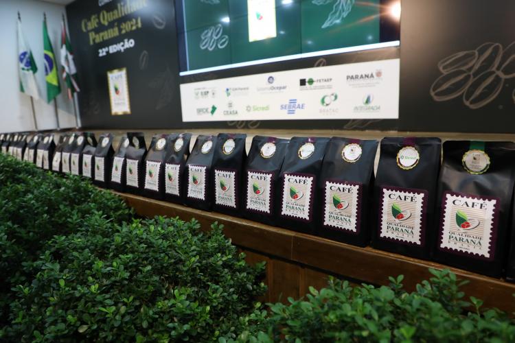 Café Qualidade Paraná 2024