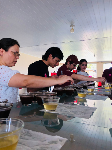 Mulheres do Café: 2º Cupping e Leilão impulsionam cafés especiais no Norte do Paraná