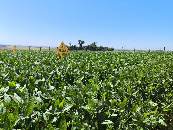Copagril abre temporada de eventos agropecuários no Paraná