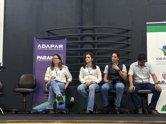 agroecologia expolondrina