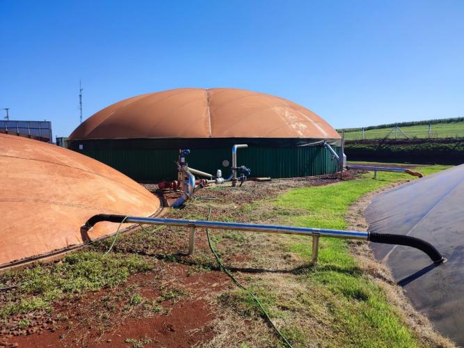 biogas
