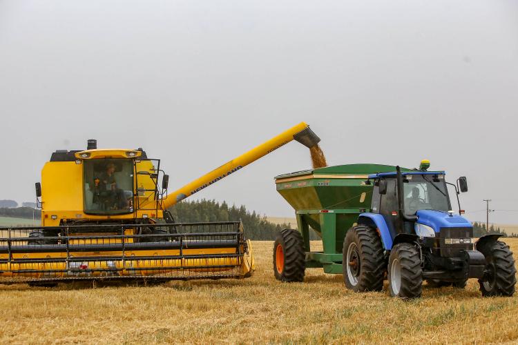 Colheita do trigo avança e confirma safra recorde em produtividade no Paraná, aponta Deral