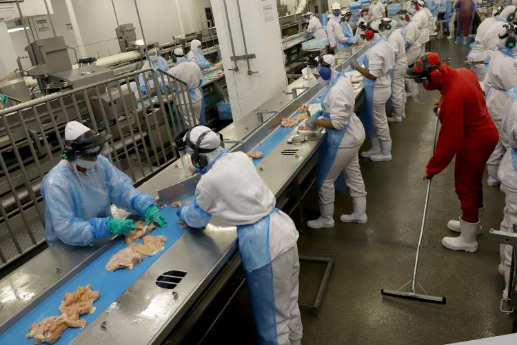 Retomada das exportações para a Malásia reforça liderança do Paraná na produção de frangos